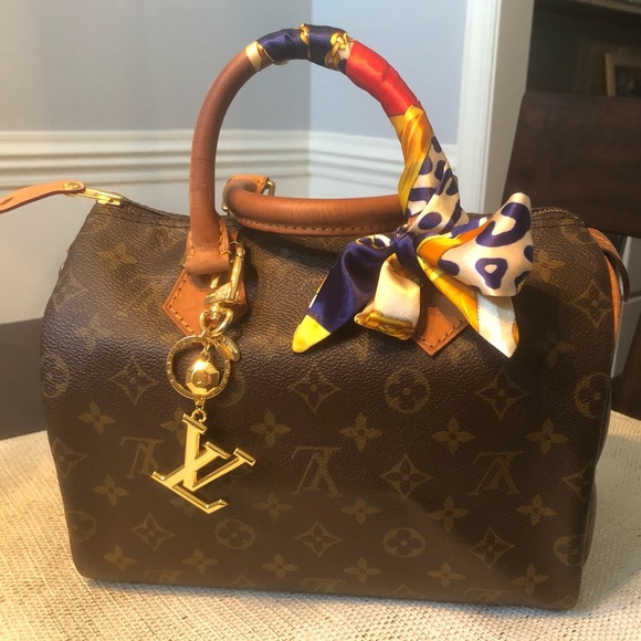 Louis Vuitton Handbags - Louis Vuitton Speedy 25